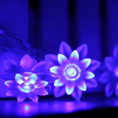 Deckey Purple the Shape of Lotus 6.8m/22.4FT 50 Superbright LED High ...