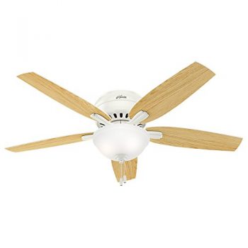 Hunter Fan Company Newsome Ceiling Fan with Light – Bulbs & Fittings Ideas